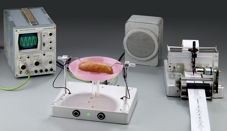 Saucillator, Peter Keene. Saucisse de Montbéliard reliée par un électroencéphalogramme à un amplificateur bio médical, un synthétiseur, une table traçante et un oscilloscope. Art contemporain, alchimie.